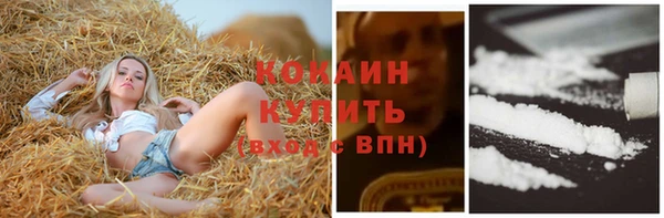 СК Богородицк
