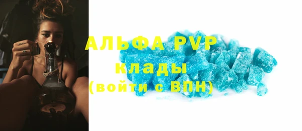 бошки Богданович