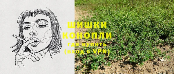 СК Богородицк